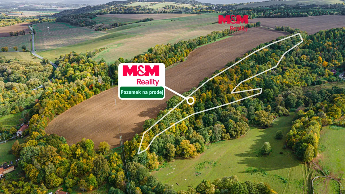 Prodej lesa 29949 m²